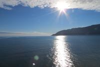 Schottland Island 2017