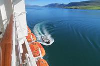 Schottland Island 2017