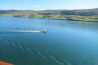 Schottland Island 2017