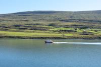 Schottland Island 2017