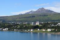 Schottland Island 2017