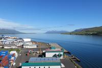 Schottland Island 2017