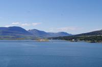 Schottland Island 2017