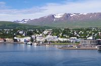 Schottland Island 2017