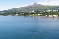 Schottland Island 2017