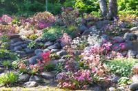 Schottland Island 2017