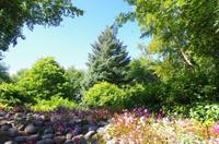 Schottland Island 2017