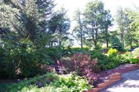 Schottland Island 2017