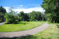 Schottland Island 2017