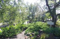 Schottland Island 2017