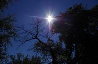 Schottland Island 2017