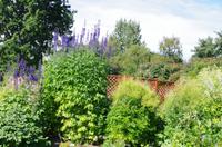 Schottland Island 2017