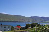 Schottland Island 2017