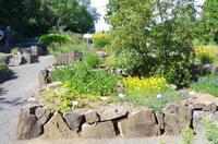 Schottland Island 2017