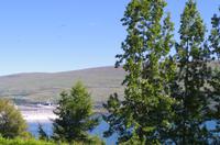 Schottland Island 2017