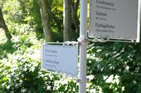 Schottland Island 2017