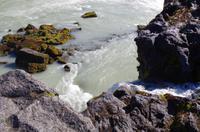 Schottland Island 2017