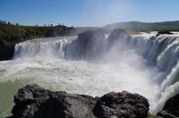 Schottland Island 2017