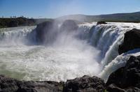 Schottland Island 2017