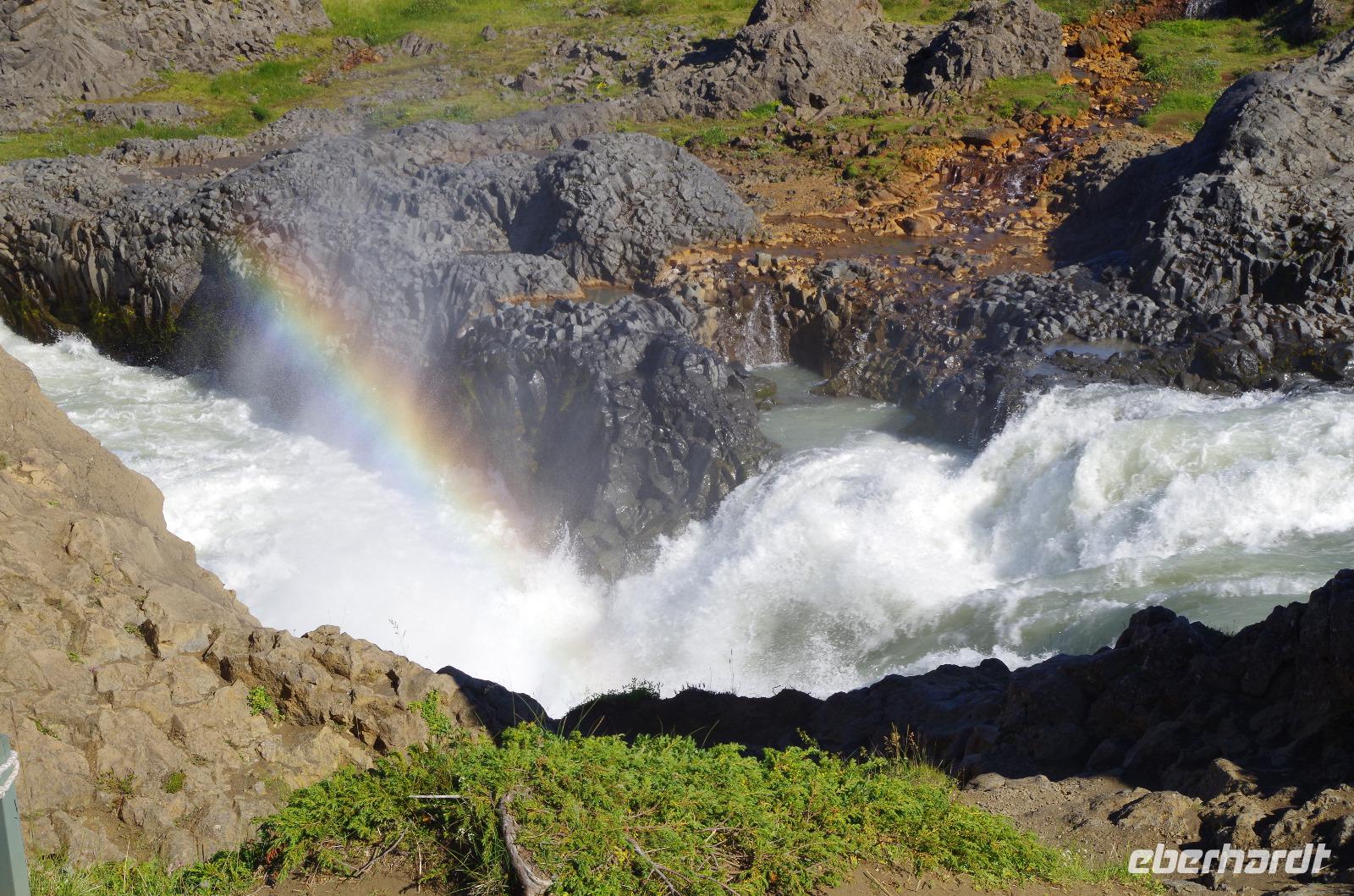 Schottland Island 2017