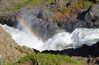 Schottland Island 2017