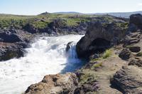 Schottland Island 2017