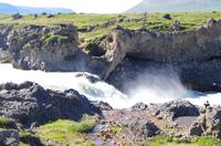 Schottland Island 2017