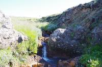 Schottland Island 2017