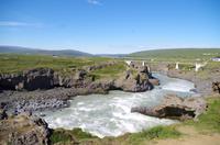 Schottland Island 2017