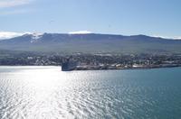 Schottland Island 2017