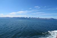 Schottland Island 2017