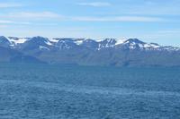 Schottland Island 2017