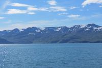 Schottland Island 2017