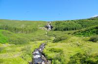 Schottland Island 2017