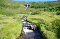 Schottland Island 2017