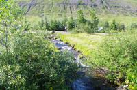 Schottland Island 2017