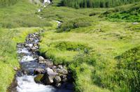 Schottland Island 2017