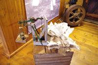 Schottland Island 2017