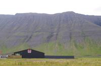 Schottland Island 2017