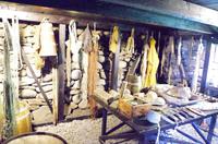 Schottland Island 2017