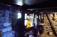 Schottland Island 2017