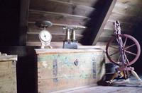 Schottland Island 2017