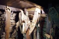 Schottland Island 2017