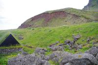 Schottland Island 2017