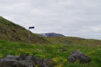 Schottland Island 2017