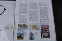 Schottland Island 2017