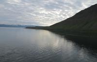 Schottland Island 2017