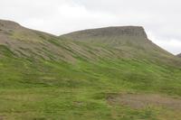 Schottland Island 2017