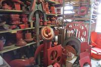 Schottland Island 2017