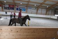 Schottland Island 2017